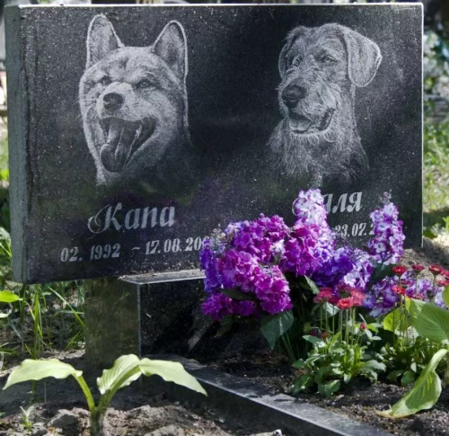 Памятники животным